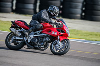 PJ-Motorsport-2019;anglesey-no-limits-trackday;anglesey-photographs;anglesey-trackday-photographs;enduro-digital-images;event-digital-images;eventdigitalimages;no-limits-trackdays;peter-wileman-photography;racing-digital-images;trac-mon;trackday-digital-images;trackday-photos;ty-croes